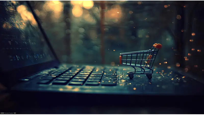 Ecommerce (Online Shops)