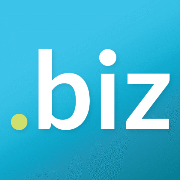 .biz domain